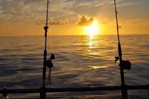abrolhos islands fishing